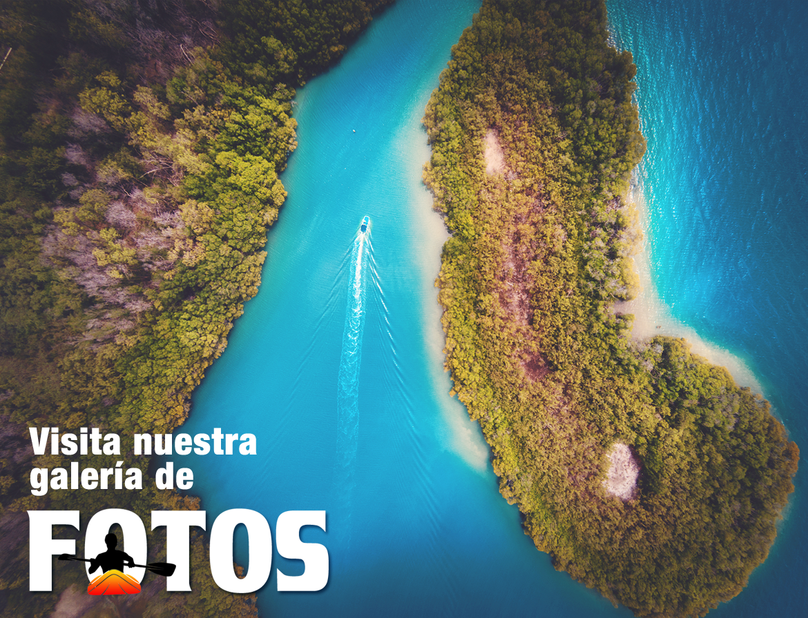 Kayaking Parguera Puerto Rico